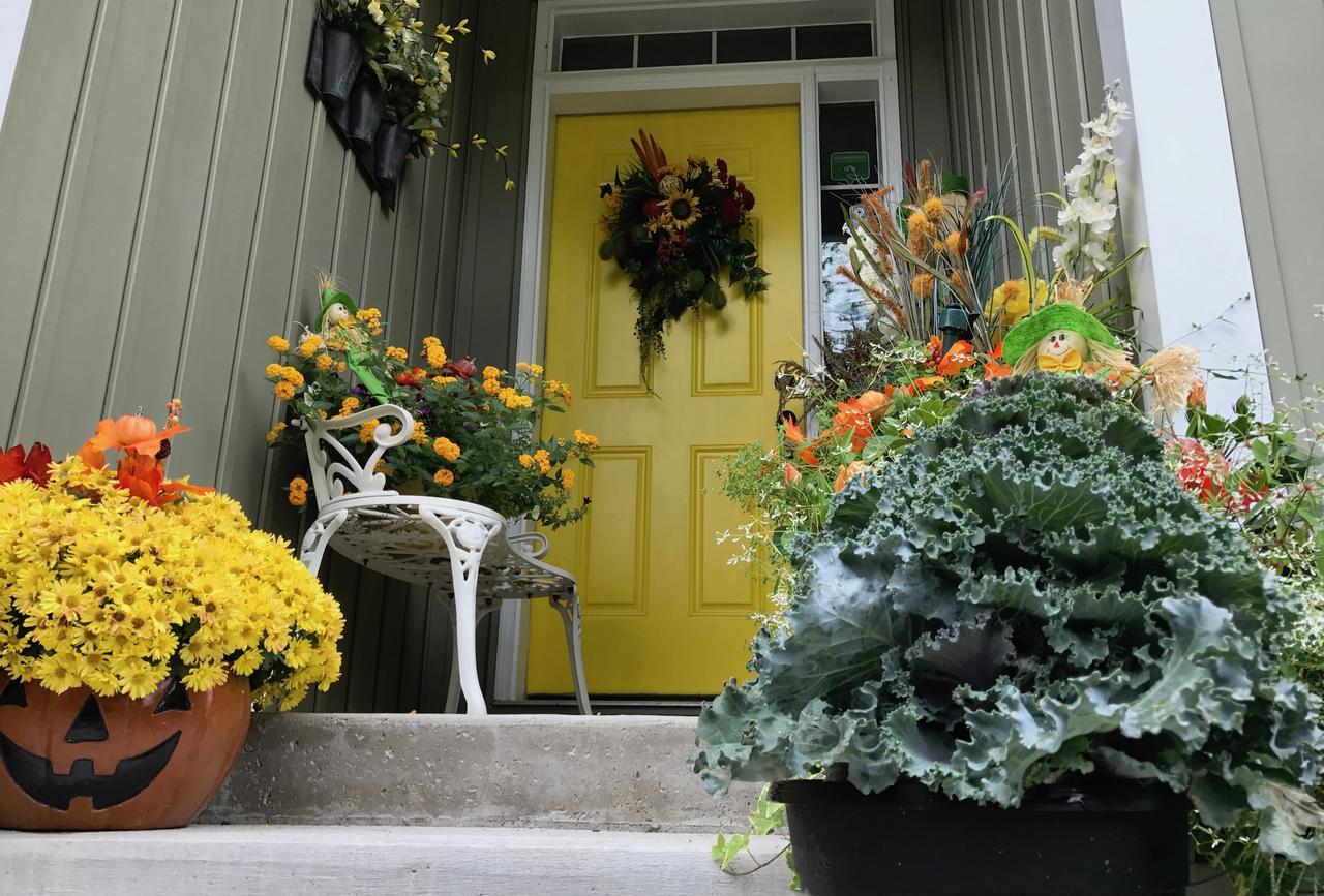 Yellow Door Bed And Breakfast ฟอร์ทอีรี ภายนอก รูปภาพ