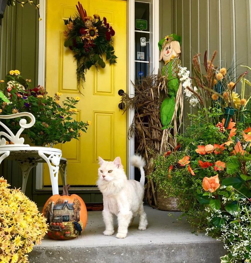 Yellow Door Bed And Breakfast ฟอร์ทอีรี ภายนอก รูปภาพ