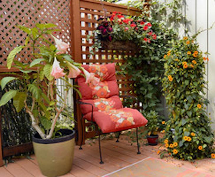 Yellow Door Bed And Breakfast ฟอร์ทอีรี ภายนอก รูปภาพ
