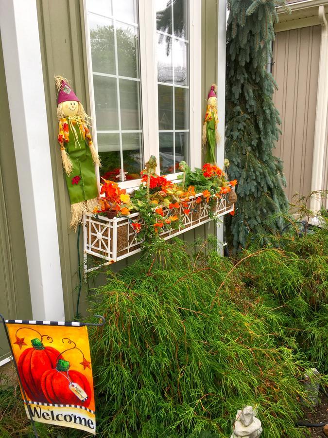 Yellow Door Bed And Breakfast ฟอร์ทอีรี ภายนอก รูปภาพ